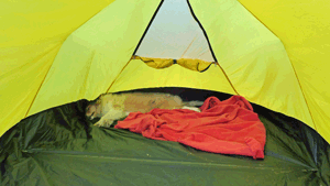 <span lang="en">Lava recovering in the tent, July 26 2013 15:25</span>