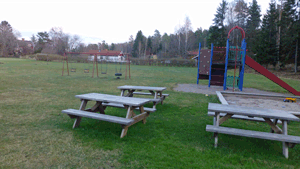Vid Lerhaga (Från vandring Järna - Tvetaberg 2013-11-28 14 km)