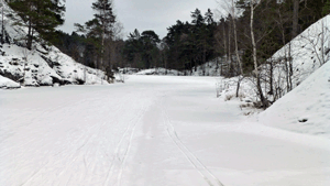 Sundet mellan Dammtorps- och Söderbysjön. Alla sund kan ha svag is, men här är isen bärig.