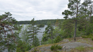 Vandringsleden öster om Stensjön (Från vandring Sandemar-Nyfors 2015-06-25 17 km)