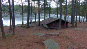 Vindskyddet vid Årsjön