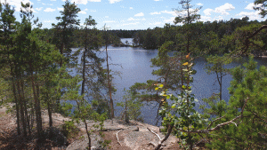 Årsjön sedd från nordöstra stranden 2020-07-22