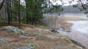 Stigen invid Dammtorpssjön - nu nära Dammtorp, där vandringen avslutades