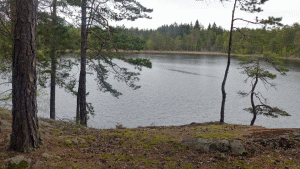 Den lilla sjön är obebyggd i ena ändan, men har sommarstugor i den andra.