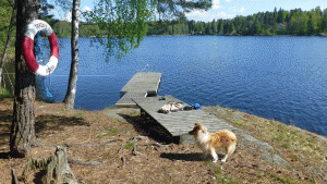 Kvarnsjön (Gladö Kvarn) (Från vandring Flemingsberg - Västerhaninge 2014-05-21 25 km)