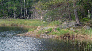 Klippa vid Mörtsjön som förr var vår favoritlunchplats vid skidtur Björkhagen-Tyresta.