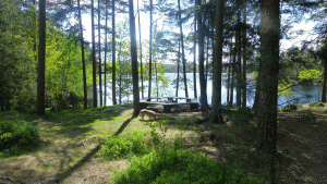 Stensjön at Tyresta May 27, 2014