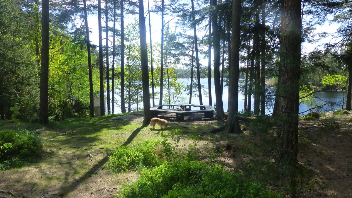 Rastplats vid Stensjön