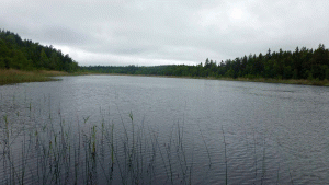 Stora Träsket (Från vandring Hörningsnäs - Bullsta 2014-06-04 15 km)