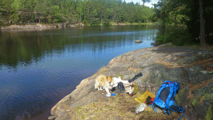 Vid Långsjön nära vindskyddet