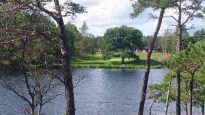 Det finns en golfbana i Lundsjöns norra ände