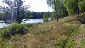 Snart vid sydändan av Kvarnsjön, där man får göra en liten omväg eftersom tomterna där går ända ner till vattnet.