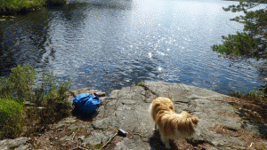 Långsjön vid Paradiset (från vandring Flemingsberg-Västerhaninge 2014-08-27)