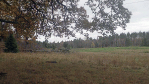 Mellan vägen mot Erstavik och Öringesjön går man först längs en väg, och sedan genom ett blandat parti med skog och ängar