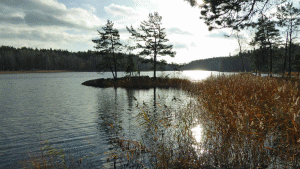 Sent oktoberljus över Lycksjön, vid rast i dess norra ände