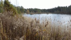 Innan man når vägen mot Höjden passerar man denna lilla sjö, som också delvis ger ett dammliknande intryck