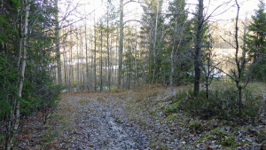 Efter passage av ytterligare ett litet skogsområde når man denna stig som löper längs ett kärr/våtmark