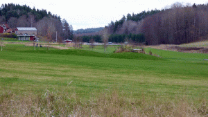 Sörmlandsleden mellan Vårsta och Östertälje. Vägvandring mellan en golfbana och en energiskogsodling