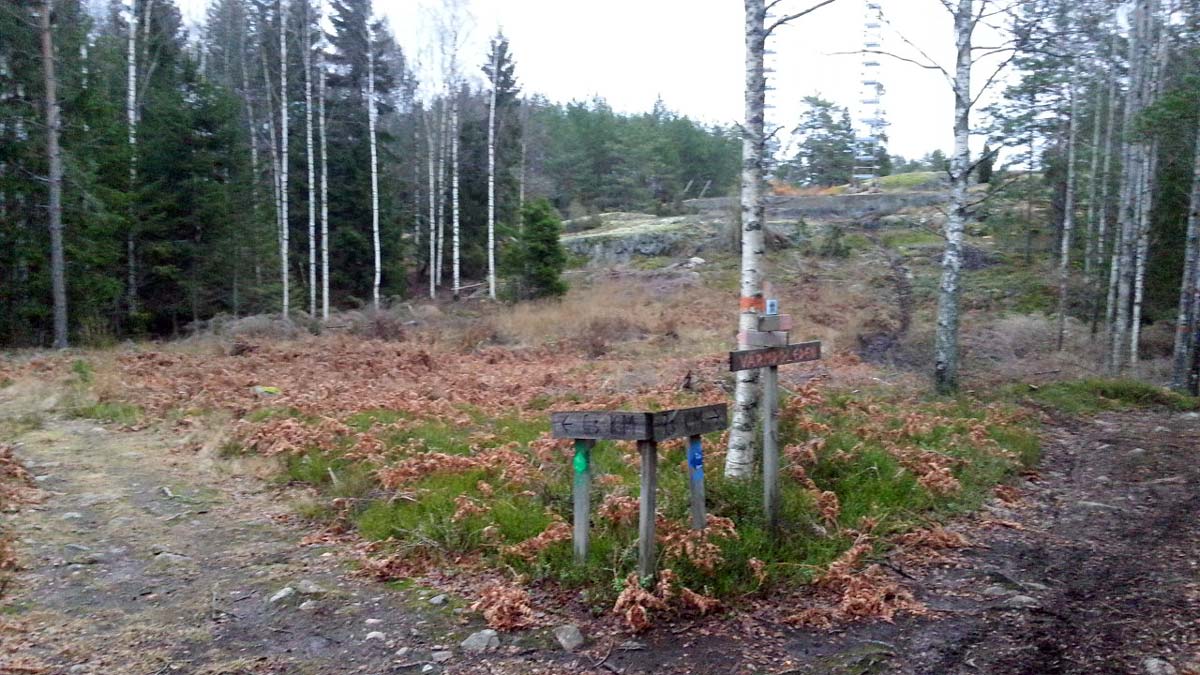 Efter en kortare bit på cykelbana intill vägen mot Stavsnäs kommer man till ett nytt lättvandrat skogsområde