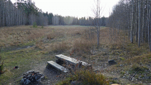 Rastplats nära Skeviksgrottan
