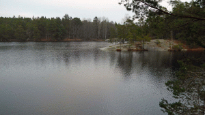 Dammsjön vid Erstavik, södra delen (Från vandring Tenntorp-Fisksätra + Ropsten-Norra Kyrkogården 2014-12-03 13 km)