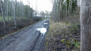 Den milda hösten 2014 har gjort att både leden och grusvägarna ofta var ganska leriga