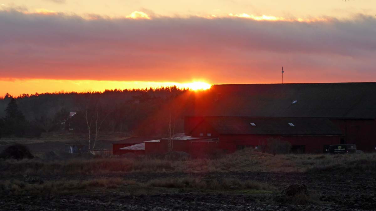 Solnedgång nionde december på Lovön. Klockan är tjugo i tre