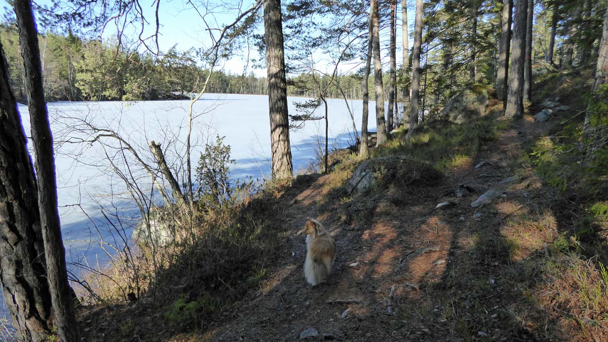 Bortom samhället passerar Sörmlandsleden en liten sjö