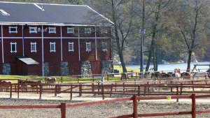 Velamsunds gård och hästhagar