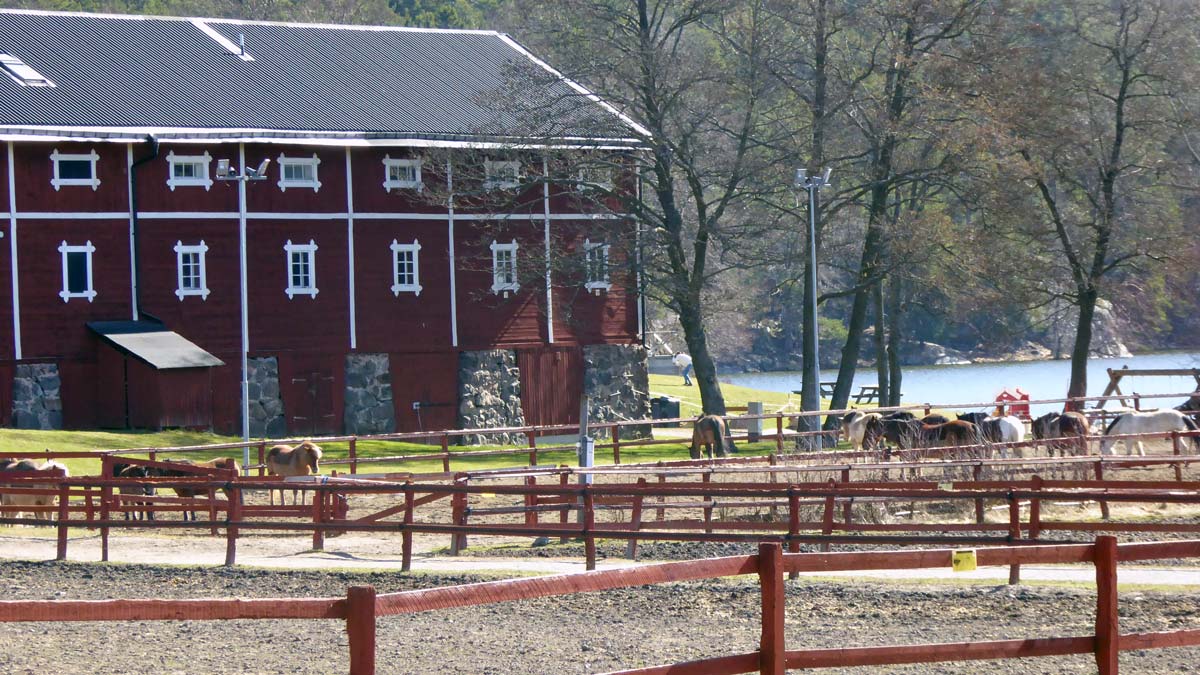 Velamsunds gård och hästhagar