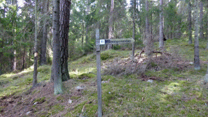 Längs Holmingeviken går en tydlig vandringsstig, men stigen som leder i sydlig riktning uppför branten är svårare att upptäcka. (Från vandring Bogesundslandet via Ellboda 2015-04-22 22 km)