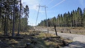 Kraftledningsgata vid Roslagsleden i närheten av Käringsjön