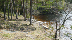 Rastplatsen vid nordöstra Stensjön (från vandring Storskogsslingan 2015-05-07)