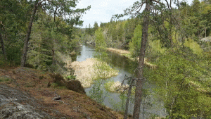 Kanalen mellan Ältasjön och Söderbysjön. Man kan gå på båda sidor, denna dag följde jag den kortaste vägen på västra sidan
