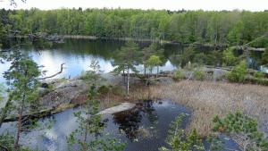Norra Ramsjön (från vandring 2015-05-21)