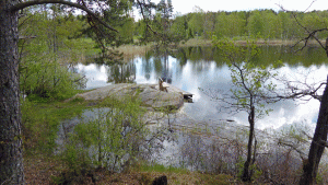 Rast- och badplats vid norra Lycksjön