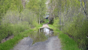Ofta översvämmad och svårpasserad vägpassage söder om Albysjön