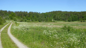 Ängsmarker i närheten av Norrvrå