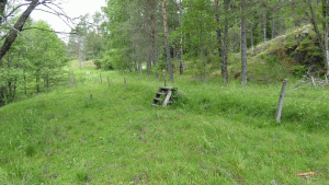 Vandringsleden nära Stensjödal