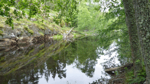 Dammen vid Stensjödal