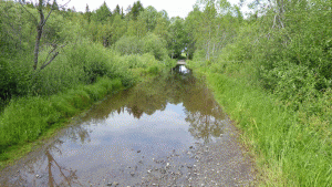 Översvämmad väg upp mot hästgården vid Rundmar