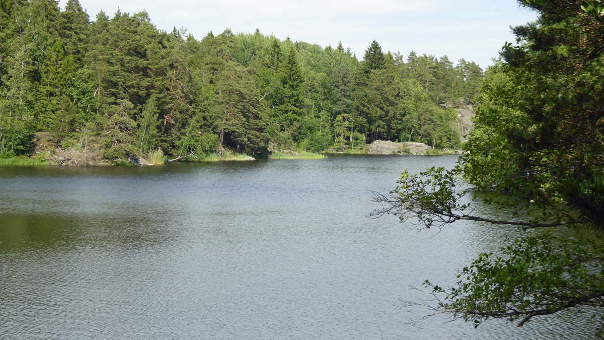 Albysjöns vik mot Nyfors