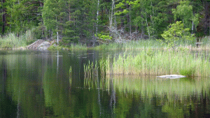 Sjö nära gröna spåret mellan Erstavik och Hellasgården