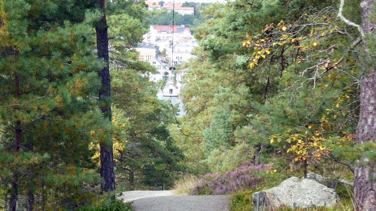 Motionsspår ner mot Järlasjön och Järla gård
