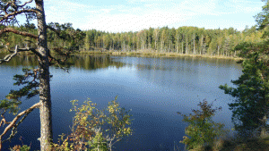 Bäversjön söder om Kvarnsjön (Gladö Kvarn)