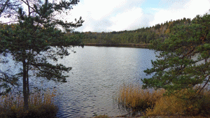 Norra Vaskasjön