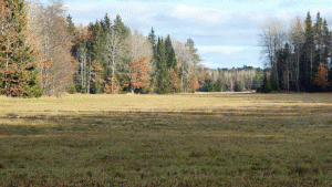 Öppet fält vid Överby naturreservat