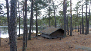 Vindskyddet vid Årsjön