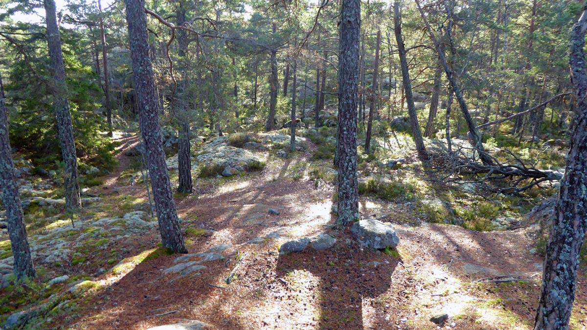 Lunchfika i solig sluttning nordväst om Segersäng (Från vandring Ösmo-Hemfosa 2015-11-11 16 km)