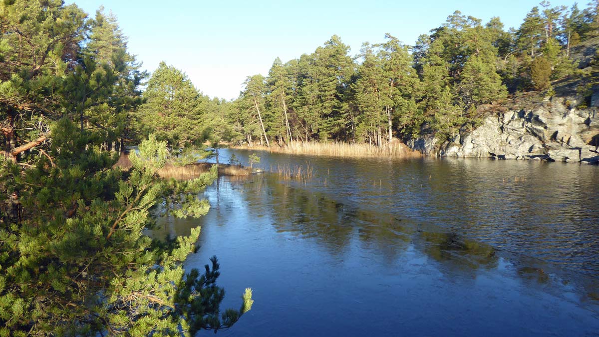 Dammsjön mot Lundsjön